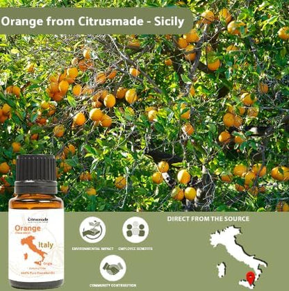 Orange Essential Oil