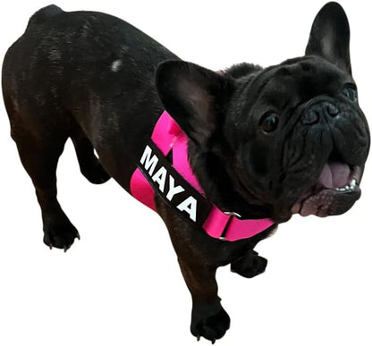 Adjustable Dog Harness– No Pull, No Choke – for English Bulldogs, French Bulldogs, Pugs & Broad-Chested Breeds – Easy, Safe Walks (NEON Pink, Medium)