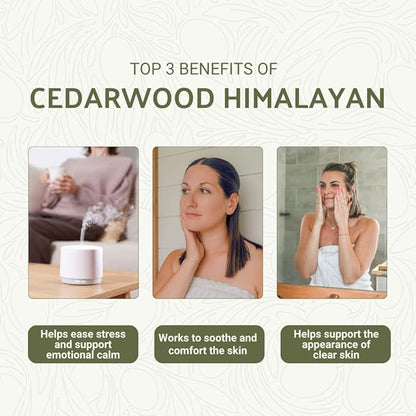 Cedarwood Himalayan Essential Oil
