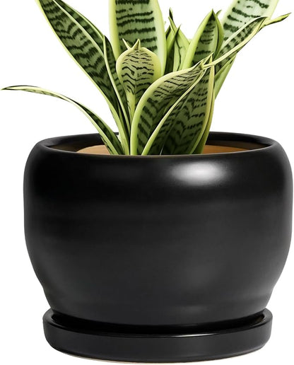 SQOWL Ceramic Plant Pot - 6 Inch Planter for Indoor Plants, Round Flower Pot with Drainage Hole and Saucer, Modern Succulent Planter Outdoor, House Decor, Plant Lovers Gifts, Black