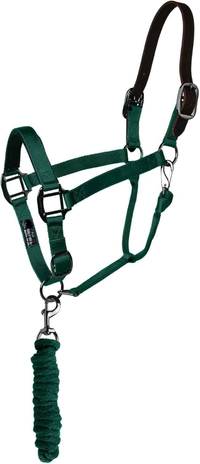 Majestic Ally Leather Halter with Matching Lead Rope for Horses – Leather Breakaway Crown - Adjustable Chin Strap – Rolled Throat Latch – Padded Noseband – Full (Hunter Green, Full)
