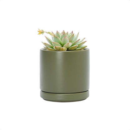 D'vine Dev 3.5 Inch Ceramic Planter Pot, Olive, 94-O-A-J | Modern Cylinder Design, Drainage Hole & Saucer Included, Stable Structure, Elegant Home Accent