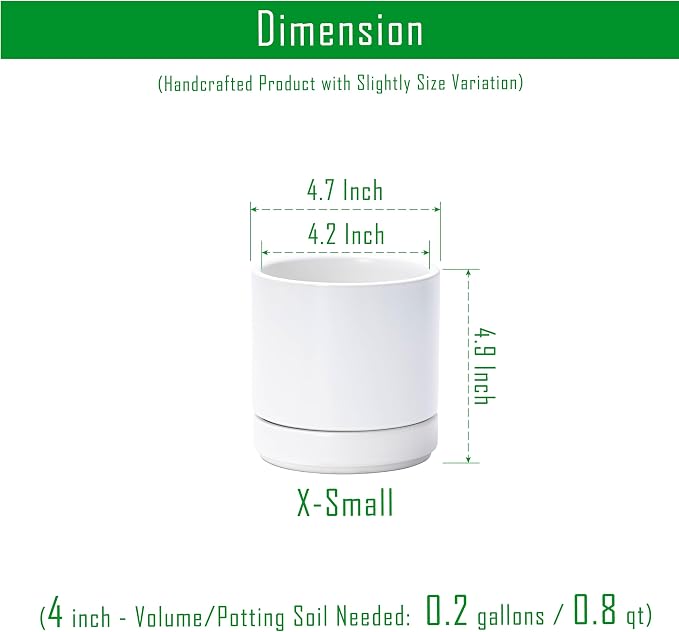 D'vine Dev Set of 2 Plants Pot, 4.7 Inch Ceramic Planter Pot for Plants with Drainage Hole and Saucer, White, 94-V-B-1