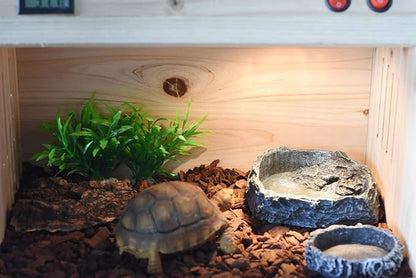 OMEM Reptile Natural Bowl Food and Water Dish Resin Made (2PCS- Gray S)