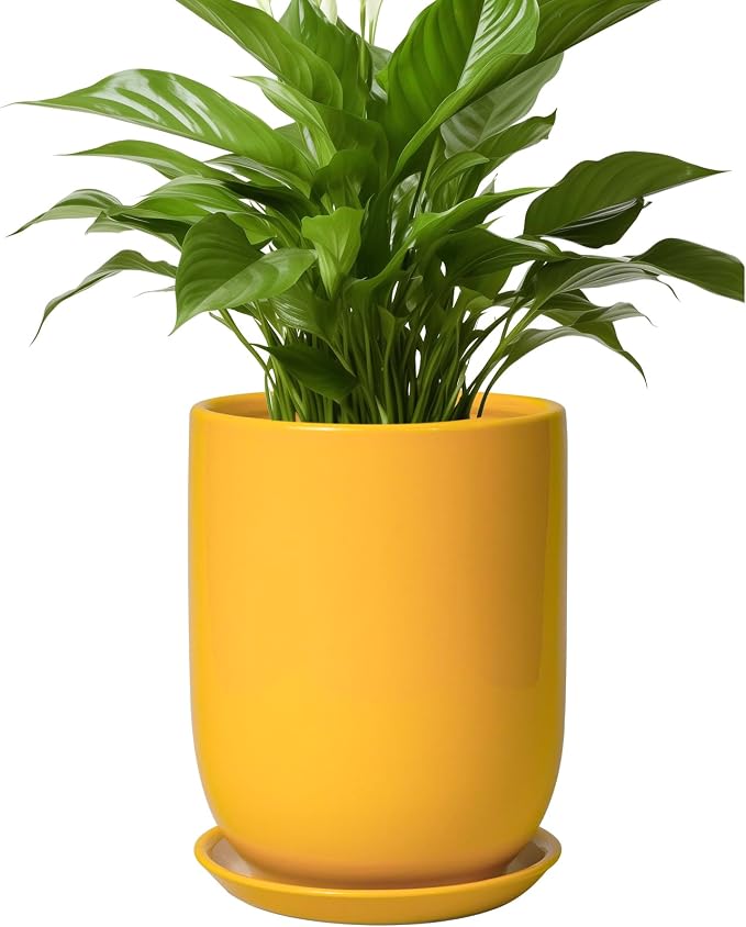 Plant Pot 8 Inch - Ceramic Plant Pot with Drainage Hole and Saucer Large Planter for Indoor Plants Outdoor Modern Flower Pot for Home Garden Decor Yellow