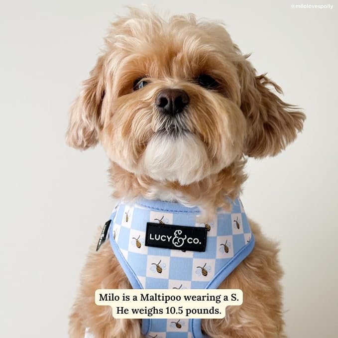 Lucy & Co. Reversible Dog Harness - Water-Repellent Neoprene, Dual-Print Design, Easy Swap Style, Adjustable Comfort Fit - Bumbling Around Reversible Harness - Small