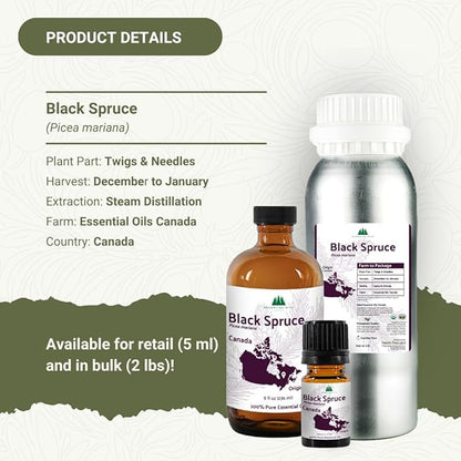 Black Spruce Essential Oil from Canada