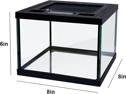 Mini Reptile Glass Terrarium Tank 8 * 8 * 6" Full View, Amphibians Box Habitat Enclosure Cage for Frog,Spiders,Dubia Cockroach,Praying Mantis,Cricket,Tarantula,Hermit Crab