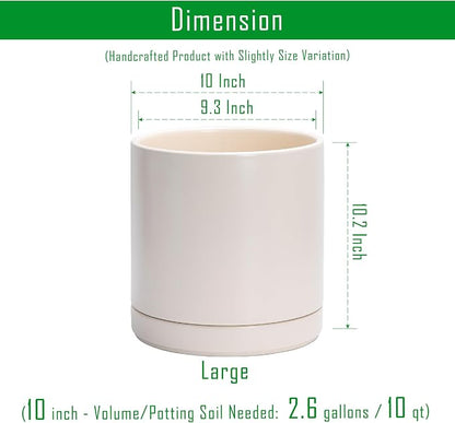 D'vine Dev Set of 2 Plants Pots, 10 Inch Ceramic Planter Pot for Plants with Drainage Hole and Saucer, Oatmeal, 94-V-E-8