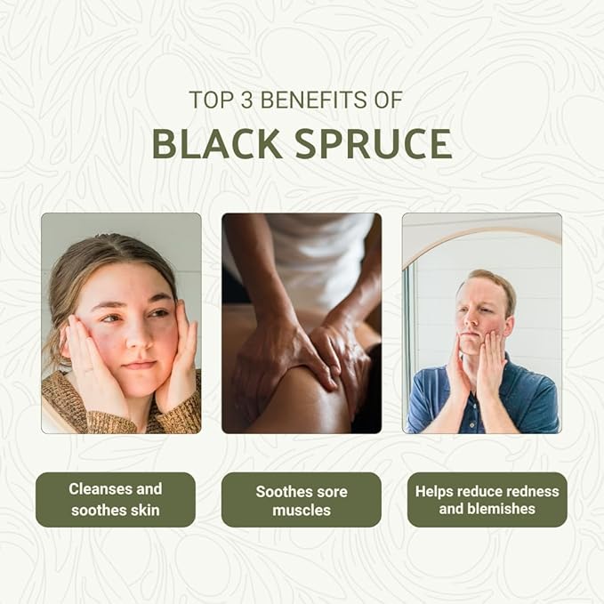 Black Spruce Essential Oil from Canada