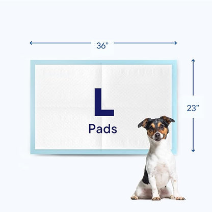 Puppy Pads Pet Pee Pads 23"x36" [200-Count] Pet Training Disposable Pads, Medium Breed Pad, Leak-Proof, Bulk Case Pack - for Cocker Spaniels, Beagles, French Bulldogs, Heavy Duty Surface Protector