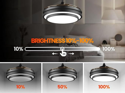 LIGHTIMES 36 Inche Modern Black Ceiling Fan