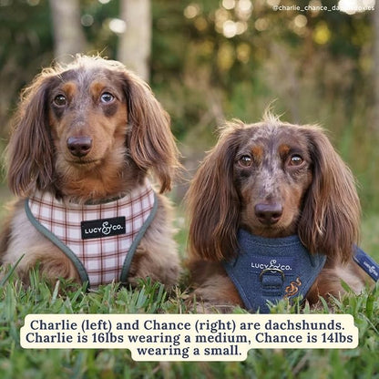 Lucy & Co. Reversible Dog Harness - Water-Repellent Neoprene, Dual-Print Design, Easy Swap Style, Adjustable Comfort Fit - Camp Out Reversible Harness - Small