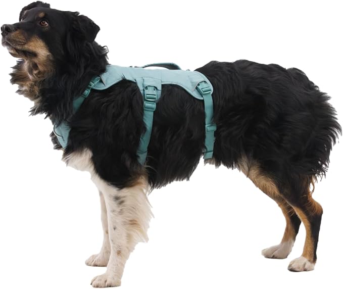 Ruffwear, Web Master, Multi-Use Support Dog Harness, Hiking and Trail Running, Service and Working, Everyday Wear, Basalt Gray, Medium