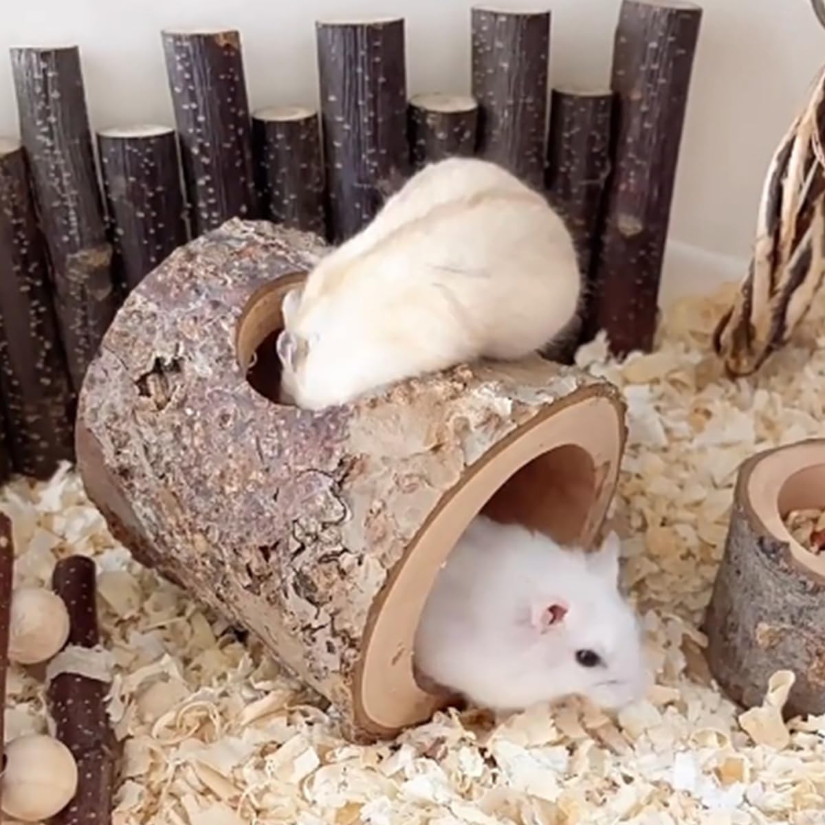 Habitat House Hideout for Hamster Mice, Gerbils Mouse and Other Small Size Animal Pets