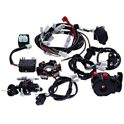 Hoypeyfiy Complete Electric Wiring Harness Wire Magneto Stator for GY6 150cc Performance Parts 4-Stroke Engine 125cc 150cc Pit Bike Scooter ATV Quad