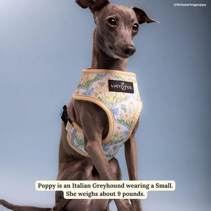 Lucy & Co. Reversible Dog Harness - Water-Repellent Neoprene, Dual-Print Design, Easy Swap Style, Adjustable Comfort Fit - Sunshine Daffodils Reversible Harness - Small