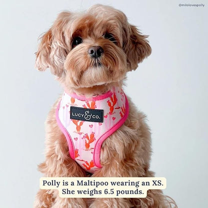 Lucy & Co. Reversible Dog Harness - Water-Repellent Neoprene, Dual-Print Design, Easy Swap Style, Adjustable Comfort Fit - Howdy Honey Reversible Harness - X-Large