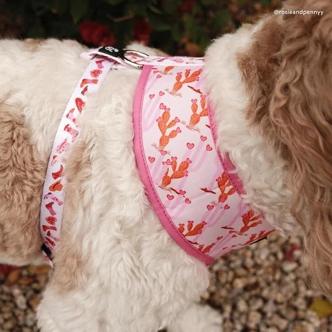 Lucy & Co. Reversible Dog Harness - Water-Repellent Neoprene, Dual-Print Design, Easy Swap Style, Adjustable Comfort Fit - Howdy Honey Reversible Harness - X-Large