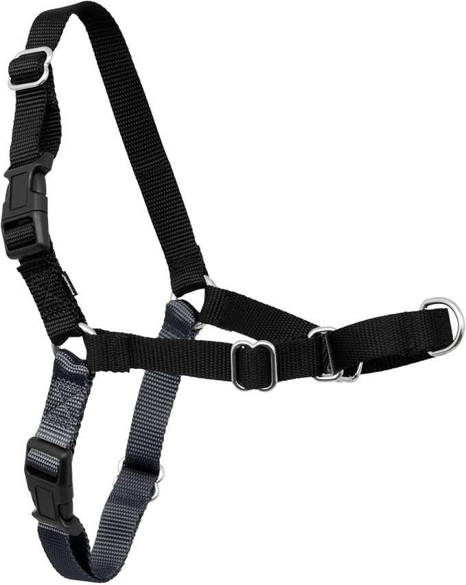 PetSafe Easy Walk Harness, No Pull Dog Harness, Charcoal Gray, Medium | Patented Martingale Loop Gives Gradual Shoulder Pressure to Stop Pulling, Front-Chest Leash Clip Prevents Gagging