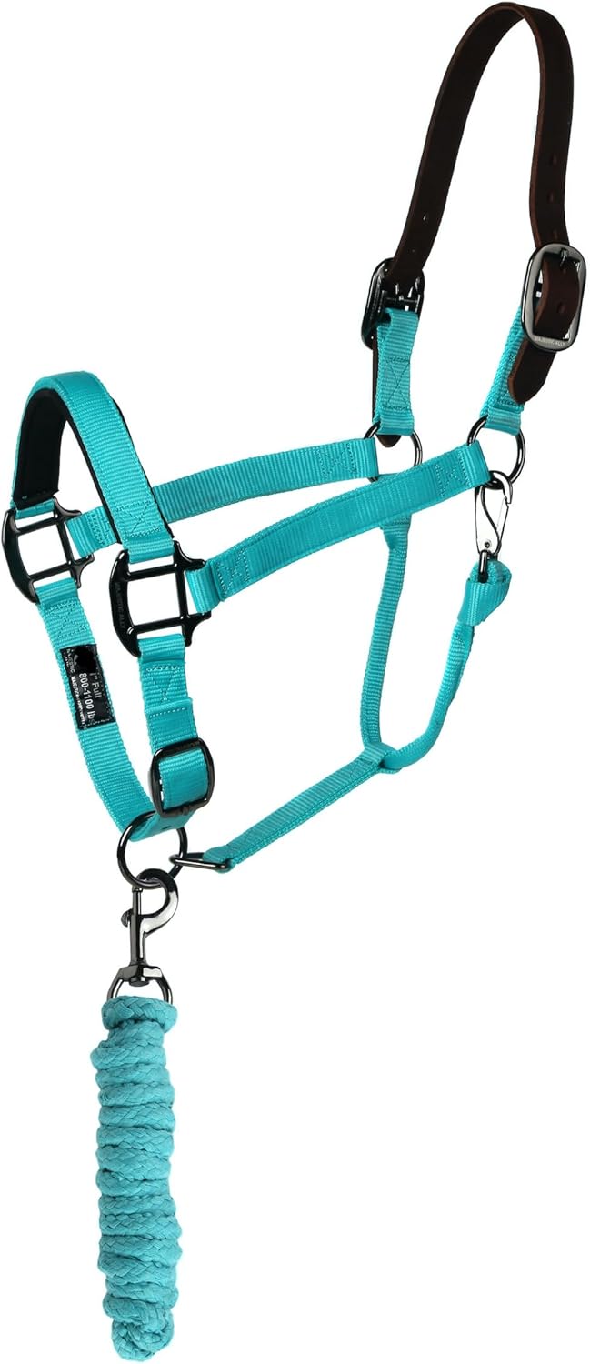 Majestic Ally Leather Halter with Matching Lead Rope for Horses – Leather Breakaway Crown - Adjustable Chin Strap – Rolled Throat Latch – Padded Noseband – Full (Turquoise-Black Nickel, Full)