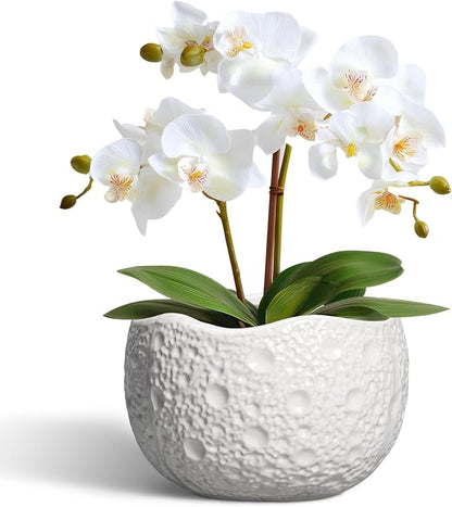 Ceramic Pots for Plants - 6 Inch Plant Pot for Indoor Outdoor, Decorative Orchid Pots with Drainage Hole, Unique Round Modern Planters, Home Decor, Gifts for Plant Lovers, White