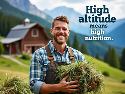 Blue Mountain Hay High-Altitude Hay - Organic Alfalfa, 10lb - High Protein, Fiber & Mineral-Rich - Soft, Leafy, High Leaf Retention - Ideal for Goats, Rabbits, Guinea Pigs & Other Small Animals