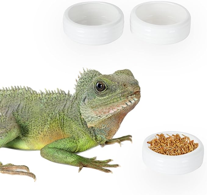 Reptile Food Bowls Ceramic Mini Round Reptile Water Food Dish, Pet Food Bowl for Lizards, Small Snakes, Young Bearded Dragons, Gecko Tortoise Spider (White, Small-2Pack)