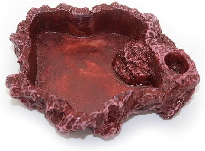 OMEM Reptile Natural Bowl Food and Water Dish Resin Made (Red S)