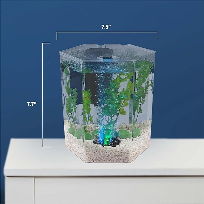 Tetra Bubbling LED Aquarium Kit 1 Gallon, Hexagon Shape, With Color-Changing Light Disc