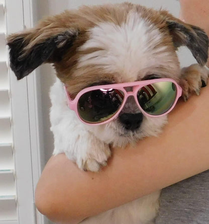 G029 Dog Cat Pet Aviator Pilot Sunglasses Glasses for Small Breeds up to 15lbs (2-Pack Black + Pink-Pink Mirror)