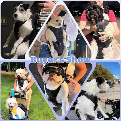 YUDODO Front Pet Carrier Backpack for Small Dog, Legs Out Dog Chest Carrier | Safety Belt, Ergonomic Support, Hands Free, Durable & Comfortable, For Walking Hiking Cycling, Black, S