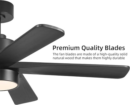 WINGBO 48 Inch DC Ceiling Fan