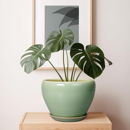 Ceramicfor Ceramic Planter Pot - 10 Inch Plant Pot for Indoor Plants Decorative Planter with Drainage Hole and Saucer Large Pot for Plants Outdoor Round Flower Pot for Garden Green