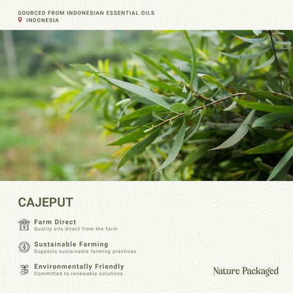 Cajeput Essential Oil