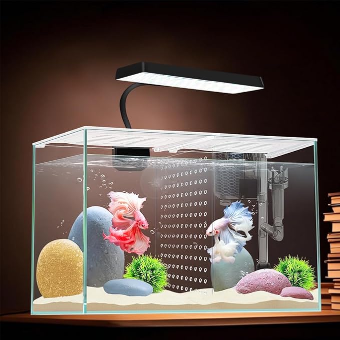 3 Gallon 12.6" L Fish Nano Glass Aquarium, with Separator Plate for Betta, Multi-Functional Square Fish Tank with Filter, LED Light, White 4mm Glass