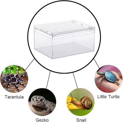 NANEEZOO Magnetic Acrylic Reptile Case - 8"x6"x4" Flat Long Enclosure Transparent Reptile Breeding Box Terrarium Cage - for Tarantula Scorpion Sling Isopods Invertebrates & Insect Mantis