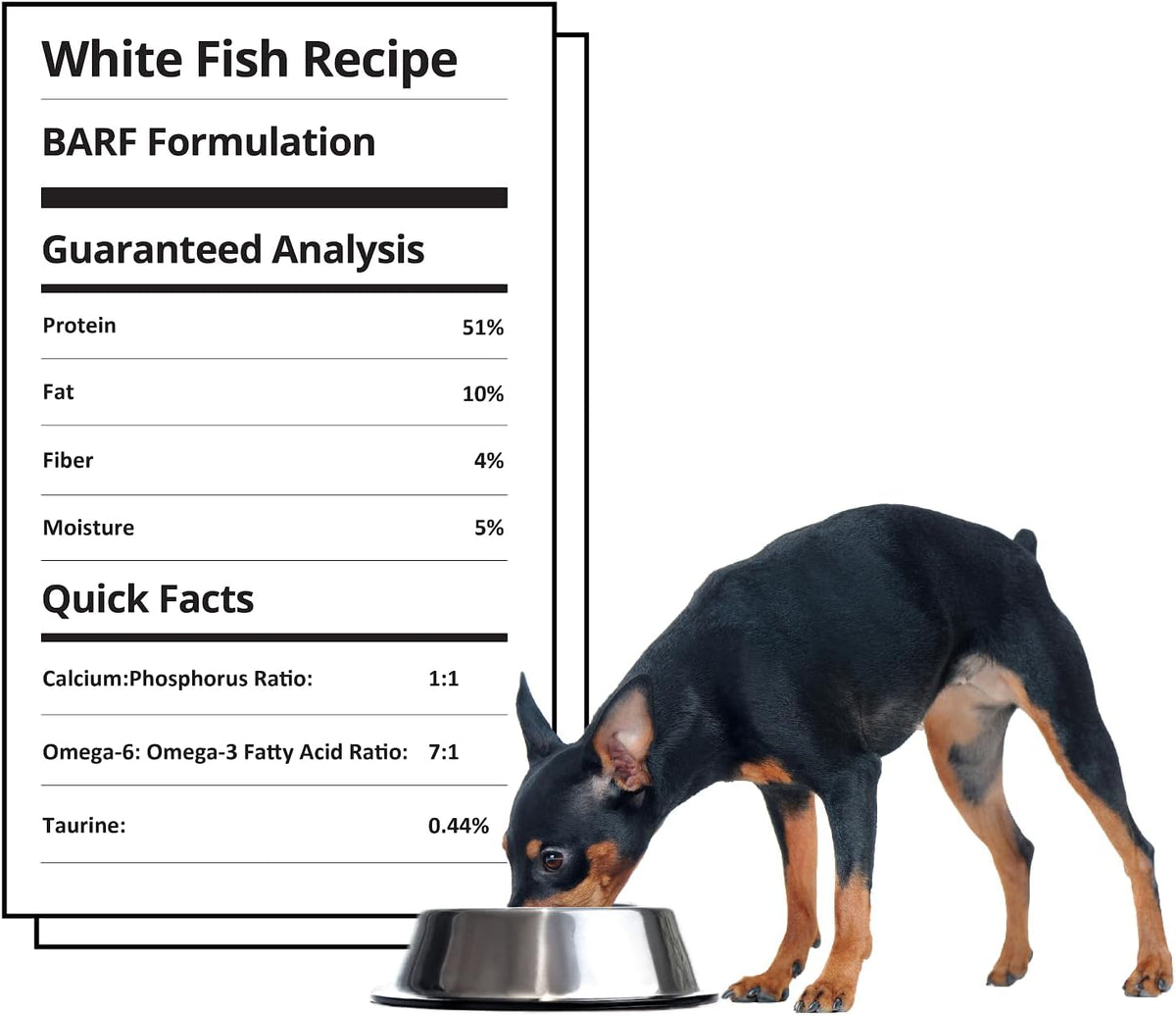 Steve's Real Food Freeze-Dried Raw Nuggets - White Fish Recipe - Raw Pet Food for Dogs and Cats - 20 oz