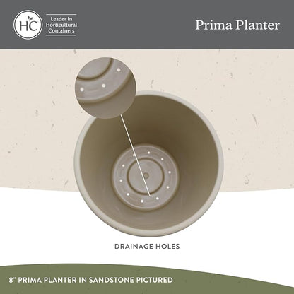 The HC Companies Prima Round Plastic Plant Pot w/Rolled Rim - Lightweight & UV Resistant Flower Pot for Herbs & More - Outdoor & Indoor Plant Pots w/Drainage (10 inch, Warm Gray, Pack of 1)