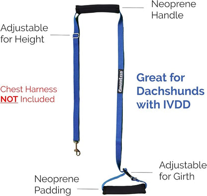 Dog Back Support IVDD Sling Harness, X-Small & Dachshunds | Fits Pets Under 25 lbs and Doxies, Walking Aid for K9s with Disc Disease, Fully Adjustable, Chest Harness NOT Included