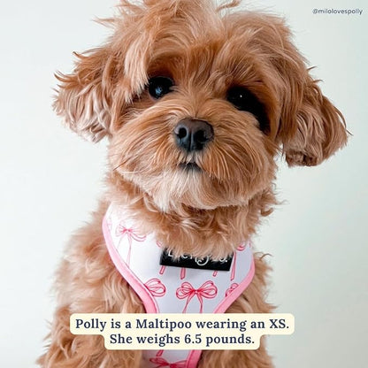 Lucy & Co. Reversible Dog Harness - Water-Repellent Neoprene, Dual-Print Design, Easy Swap Style, Adjustable Comfort Fit - Take a Bow Reversible Harness - X-Large