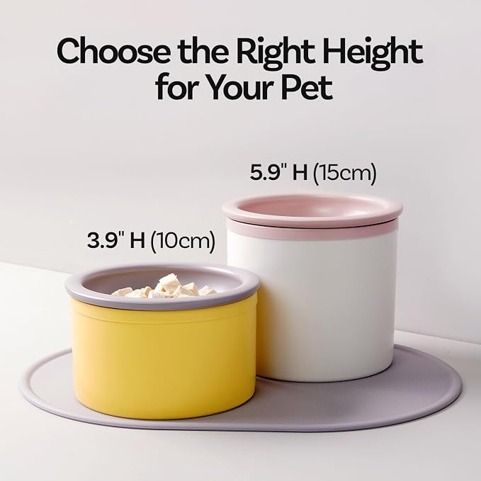 Hello Bowl Elevated Ceramic Cat Bowl with Stand, Raised Whisker-Friendly Feeding Bowl for Cats & Small Dogs, Patented Design, Made in Korea (3.9" H - White, Square/Dry)