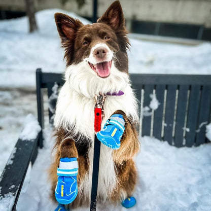 QUMY Dog Shoes for Large Dogs, Medium Dog Boots & Paw Protectors for Winter Snowy Day, Summer Hot Pavement, Water-Resistant in Rainy Weather, Outdoor Walking, Indoor Hardfloors Skid-Resistant Sole