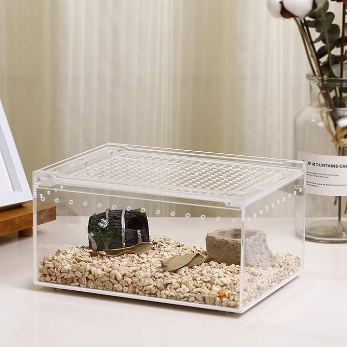 NANEEZOO Magnetic Acrylic Reptile Case - 8"x6"x4" Flat Long Enclosure Transparent Reptile Breeding Box Terrarium Cage - for Tarantula Scorpion Sling Isopods Invertebrates & Insect Mantis