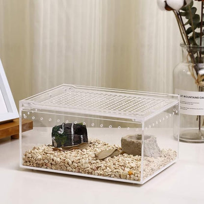NANEEZOO Magnetic Acrylic Reptile Case - 8"x6"x4" Flat Long Enclosure Transparent Reptile Breeding Box Terrarium Cage - for Tarantula Scorpion Sling Isopods Invertebrates & Insect Mantis