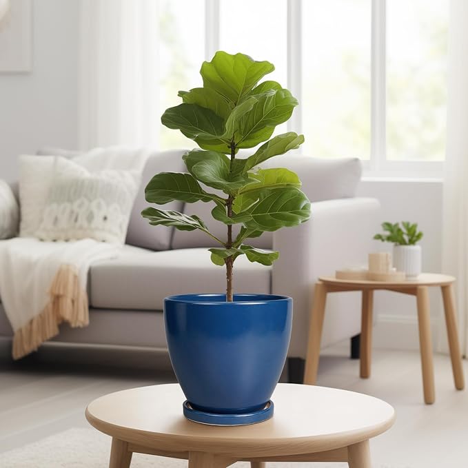 Ceramic Plant Pot - 8 Inch Planter for Indoor Outdoor Plants, Round Flower Pots with Drainage and Tray, Home Office Decor, Blue