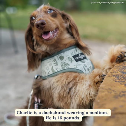 Lucy & Co. Reversible Dog Harness - Water-Repellent Neoprene, Dual-Print Design, Easy Swap Style, Adjustable Comfort Fit - Camp Out Reversible Harness - Small