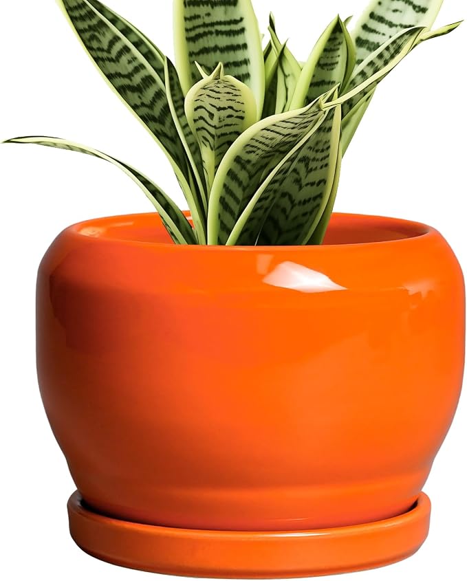 SQOWL Ceramic Plants Pots - 6 Inch Planter Indoor with Drainage Hole and Plant Saucer, Modern Round Planter Outdoor, Decorative Succulent Pot, Home Decor, Housewarming Gifts, Orange