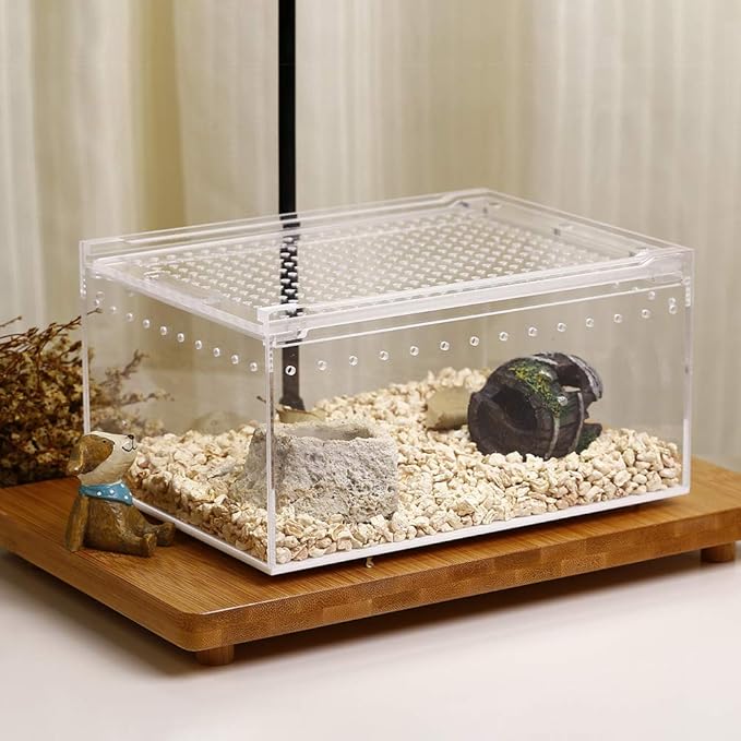 NANEEZOO Magnetic Acrylic Reptile Case - 8"x6"x4" Flat Long Enclosure Transparent Reptile Breeding Box Terrarium Cage - for Tarantula Scorpion Sling Isopods Invertebrates & Insect Mantis