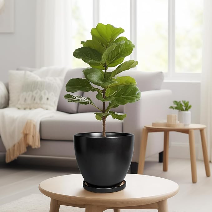 8 Inch Plant Pot - Ceraimc Planter for Indoor Outdoor Plants, Round Flower Pots with Drainage and Tray, House Decor, Black